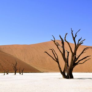 Namibia