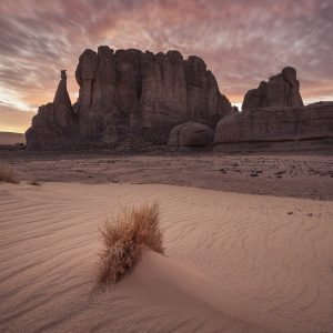 Algerian Desert 4×4 Adventure