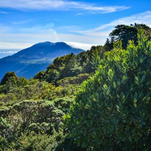 Costa Rica Nature Adventure