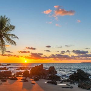 Silhouette of a palm tree and a sand beach inside Corcovado National Park with a view over the Pacific Ocean at sunset, Osa Peninsula, Costa Rica, Central America.